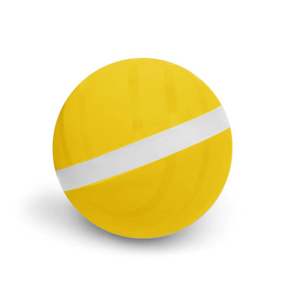Motion Ball For Pets 3