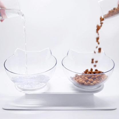 Anti-Vomiting Orthopedic Pet Bowl 3
