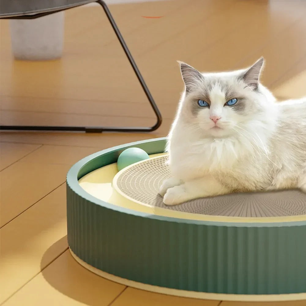 Cat Scratcher Toy Rolling Ball Tracks 3