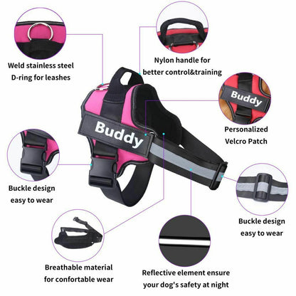 CUSTOM DOG HARNESS 3