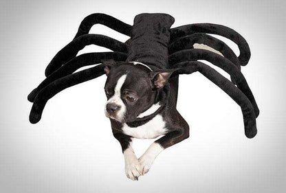 Spider-Dog Costume 3