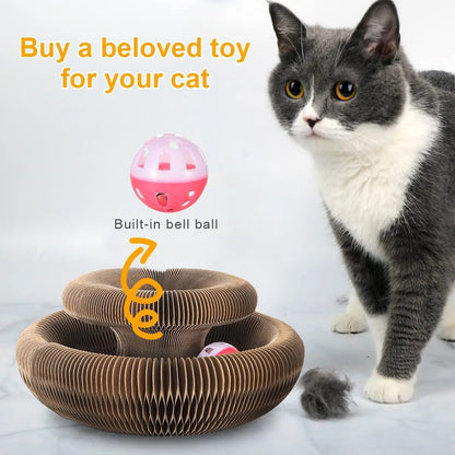 Magic Organ Cat scratching Board 3