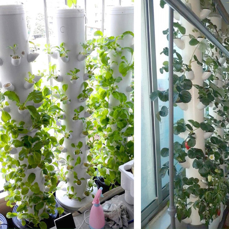 PLANT GROW CUPS- 40 Pcs 3
