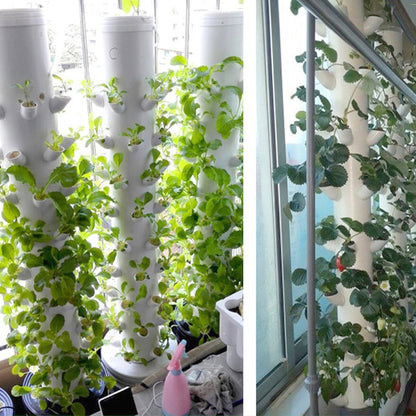 PLANT GROW CUPS- 40 Pcs 3