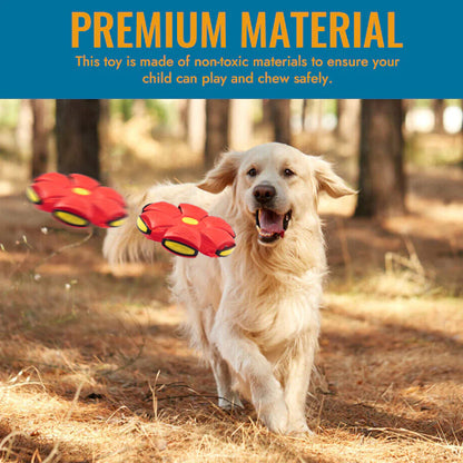 Pet Toy Flying Saucer Ball 3