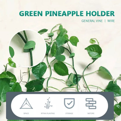 Plant Clips For Climbing Plants-30PCS 3