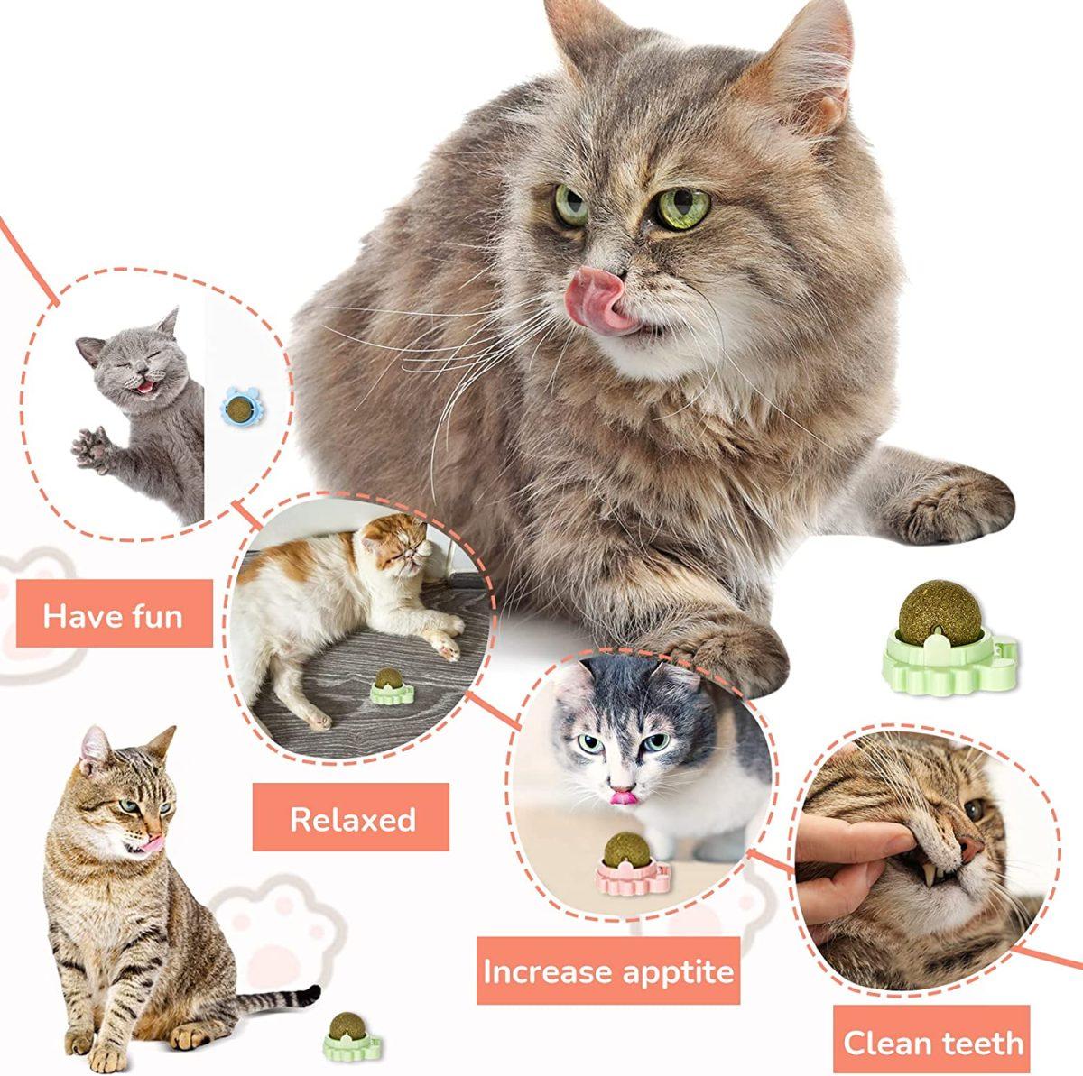 Catnip Balls 3
