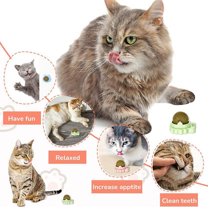 Catnip Balls 3