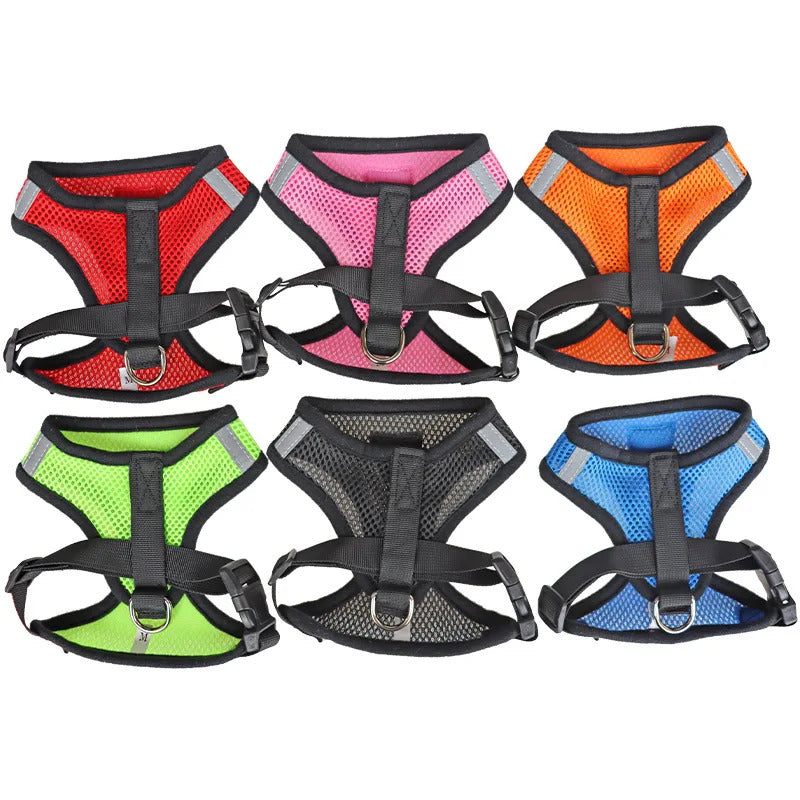 Cat Harness & Leash 3