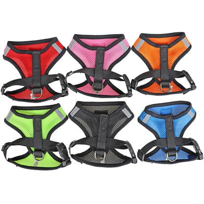 Cat Harness & Leash 3