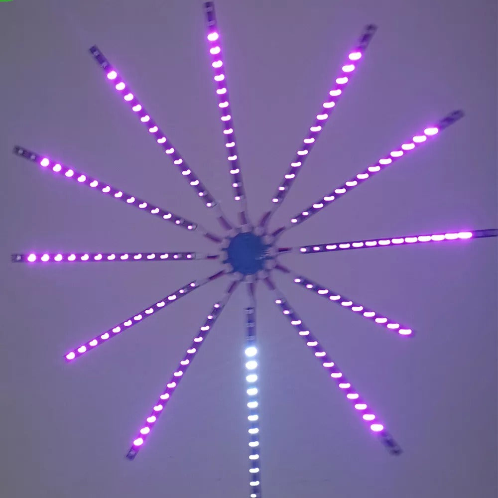 FIREWORK LED LIGHTS 3