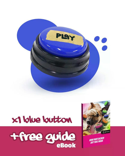 Interactive Dog Personalized Sound Buttons 3