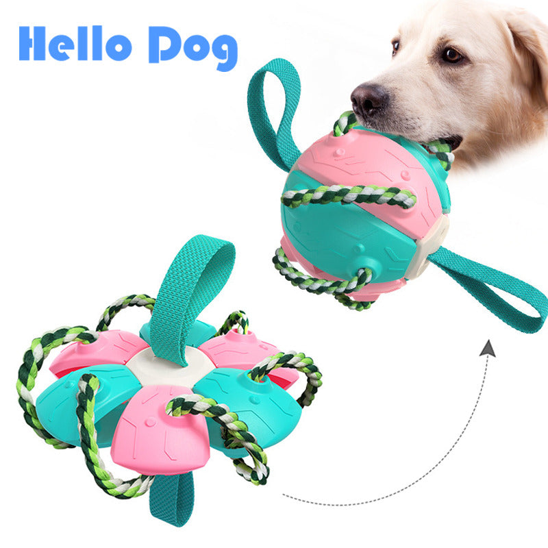 Interactive Flying Disk Ball Dog Toy 3