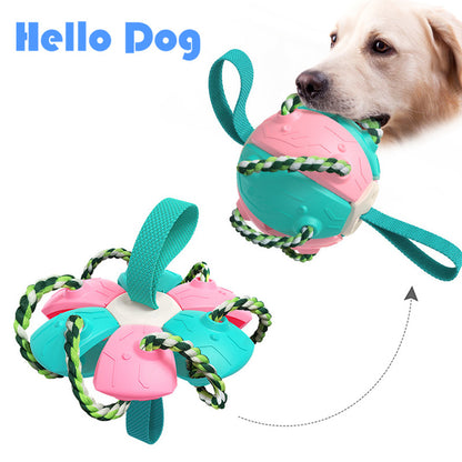 Interactive Flying Disk Ball Dog Toy 3