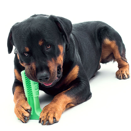 STRESS-FREE DIY DOG TOOTHBRUSH 3