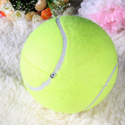 Giant Tennis Ball For Pets 3