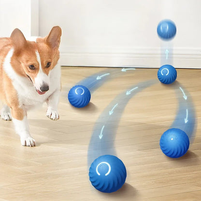 Interractive Motion Activated Rolling Ball Dog Toy 3