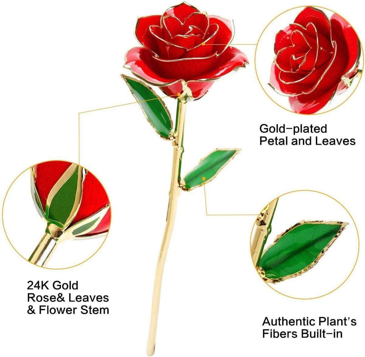 24k Gold Dipped Rose 3