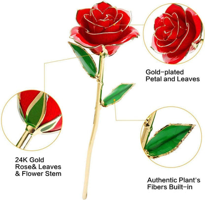 24k Gold Dipped Rose 3