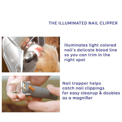 Professional Illuminated  Pet Nail Clipper 3
