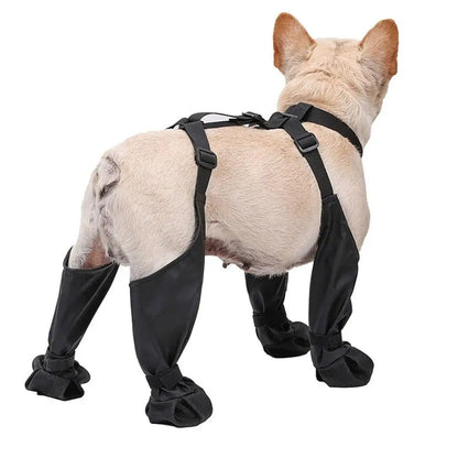 Suspender Dogs Boots 3