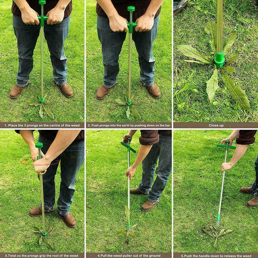 Standing Plant Root Remover 3