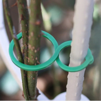 Garden Plant Holder-1000PCS 3