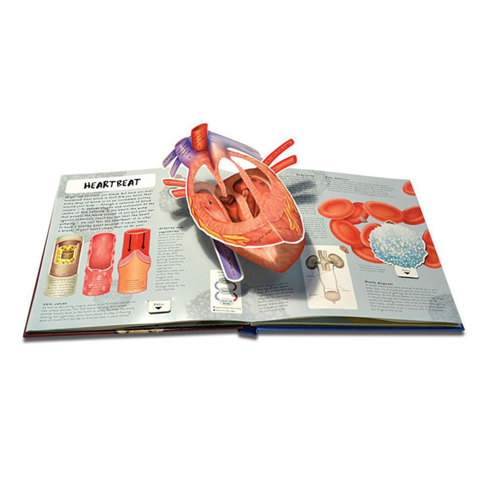 Anatomy of The Human Body 3D Picture Book 3