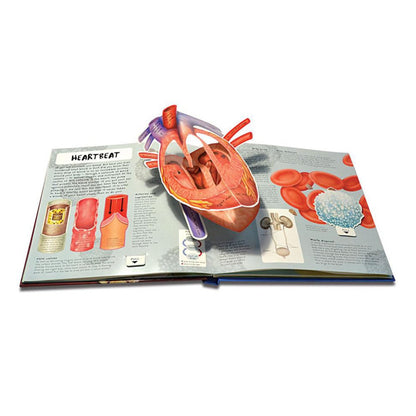 Anatomy of The Human Body 3D Picture Book 3