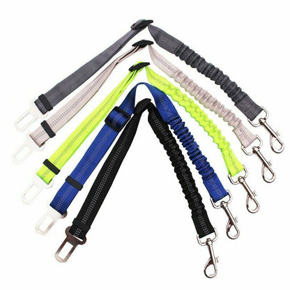Paw Safe Seat Belt 3