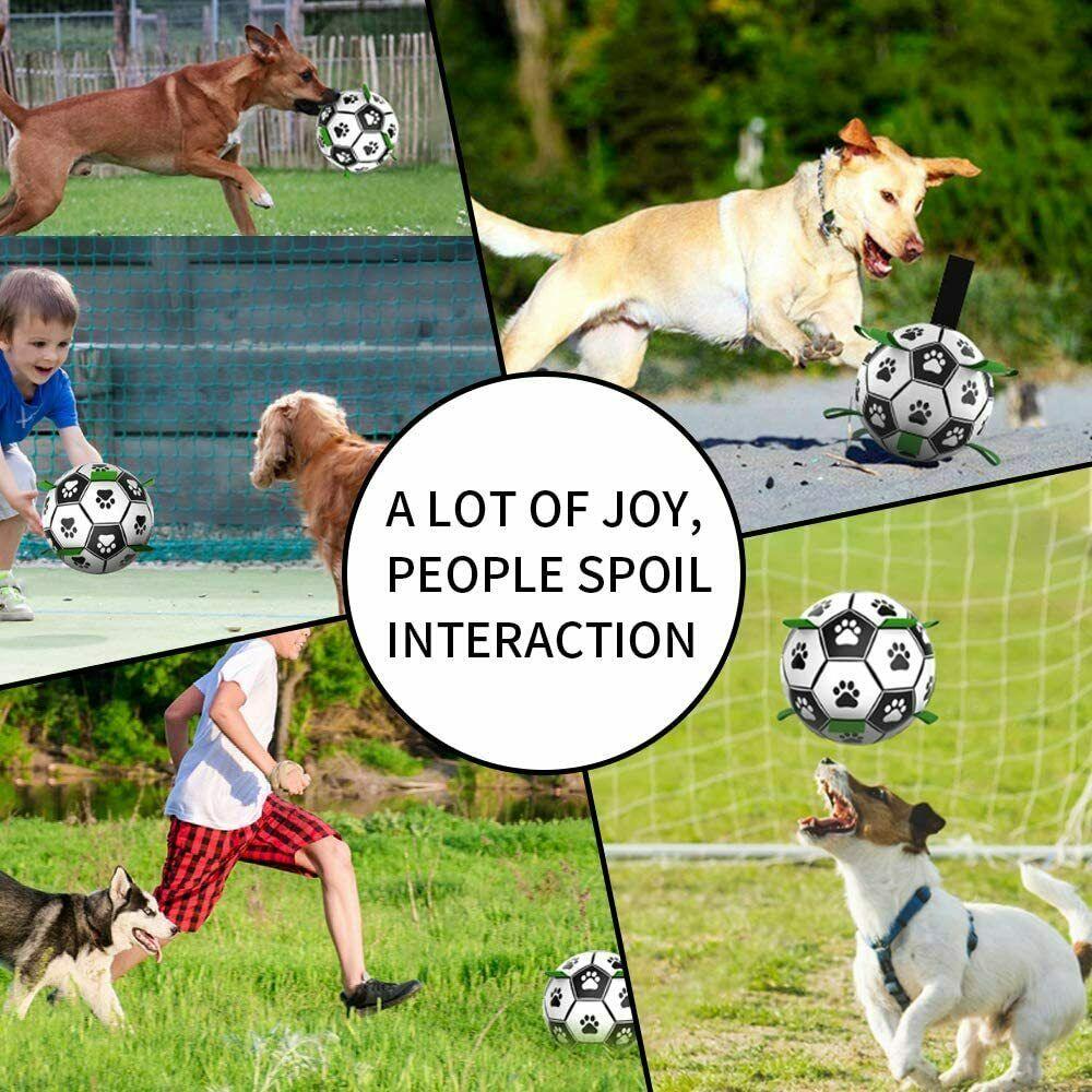 Dog Soccer Ball 3