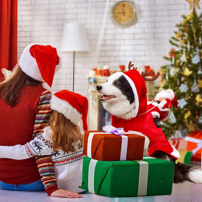 Royal Wise Running Santa Christmas Pet Costumes 3
