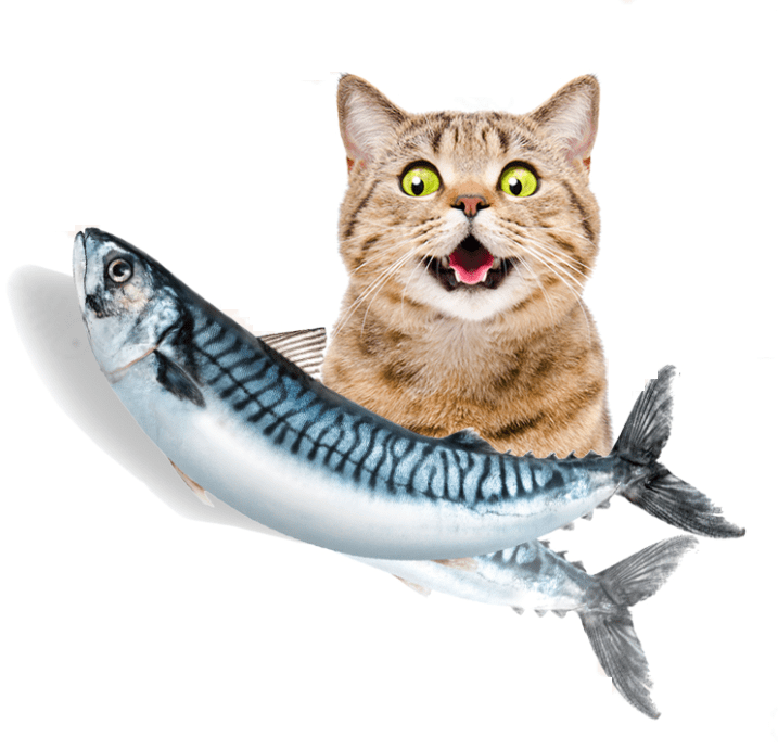 Interactive Dancing Fish Toy 3