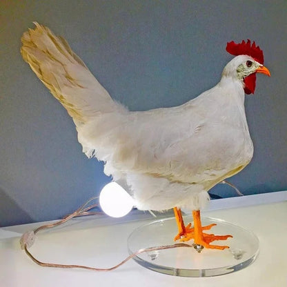 Hilarious Chicken Egg Lamp 3