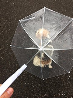 SMALL DOG UMBRELLA WITH LEASH 3