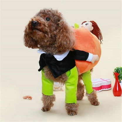 Dog pumpkin Halloween costume 3