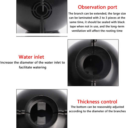 Plant Root Growing Box 5PCS 3