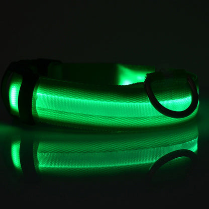Pet Led Collar 3