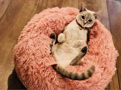 Deluxe Plush Bed 3