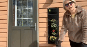 Wall Planter 3