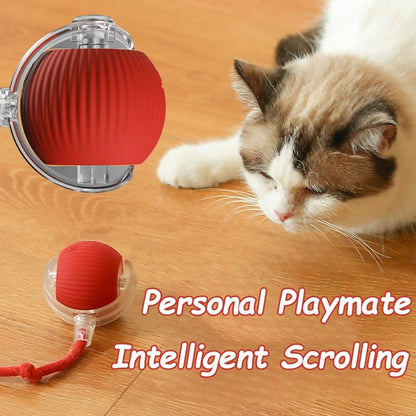 Rollraptor interactive pet toy ball 3