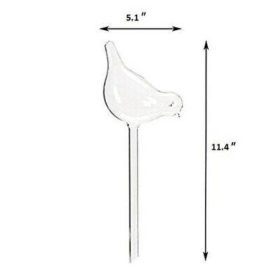 Self Watering Bird Bulbs 3