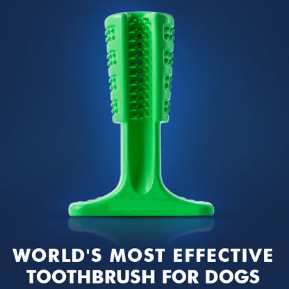 STRESS-FREE DIY DOG TOOTHBRUSH 4