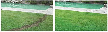 Liquid Lawn System 4