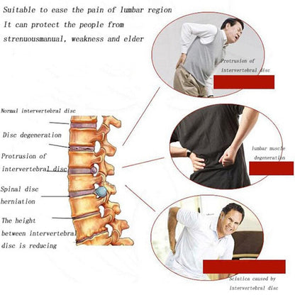 Self-heating Magnetic Back Support 4