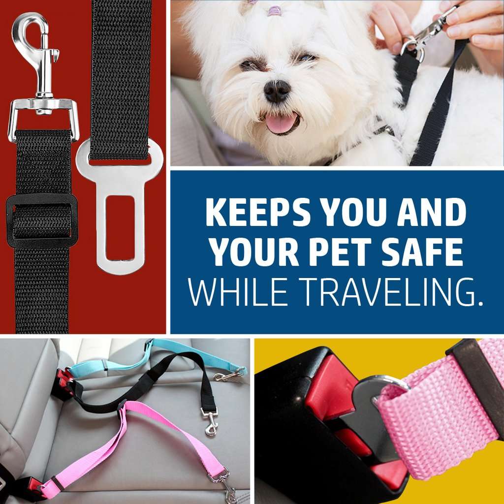 Pet Car Seat Belt 4