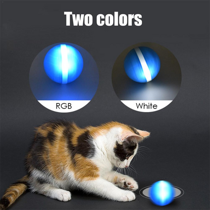Motion Ball For Pets 4