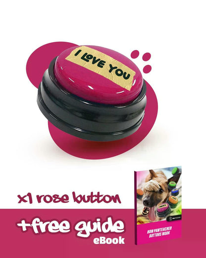 Interactive Dog Personalized Sound Buttons 4