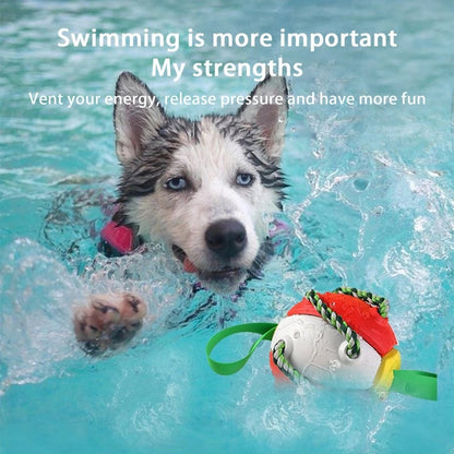 Interactive Flying Disk Ball Dog Toy 4