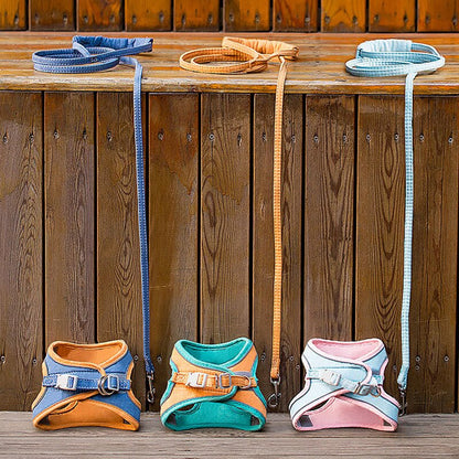 Cat Harness 3